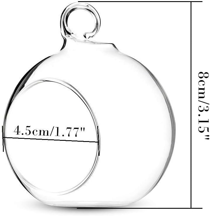Sziqiqi 3.15" Glass Globes Glass Bulbs Hanging Tea Light Holder Terrarium Container Wedding Centerpiece Backyard Decoration Christmas Ornaments 20pcs+4 Extra