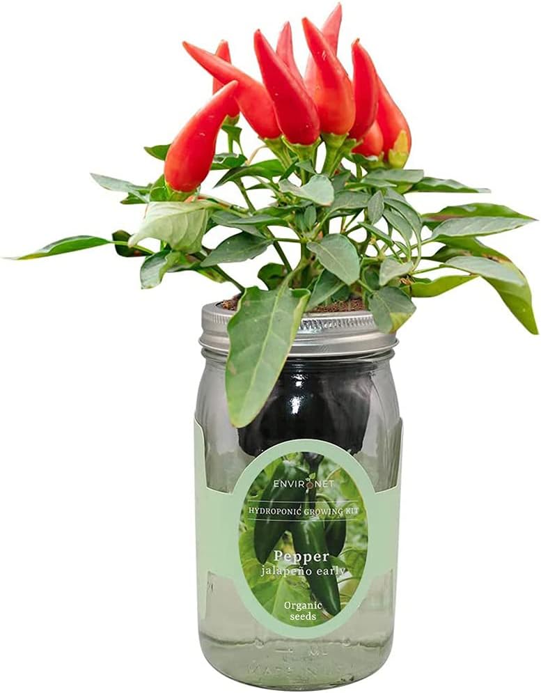 Hydroponic Pepper Growing Kit, Self-Watering Mason Jar Vegetable Starter Kit Indoor, Grow Peppers from Organic Seeds (Jalapeño Early Pepper)