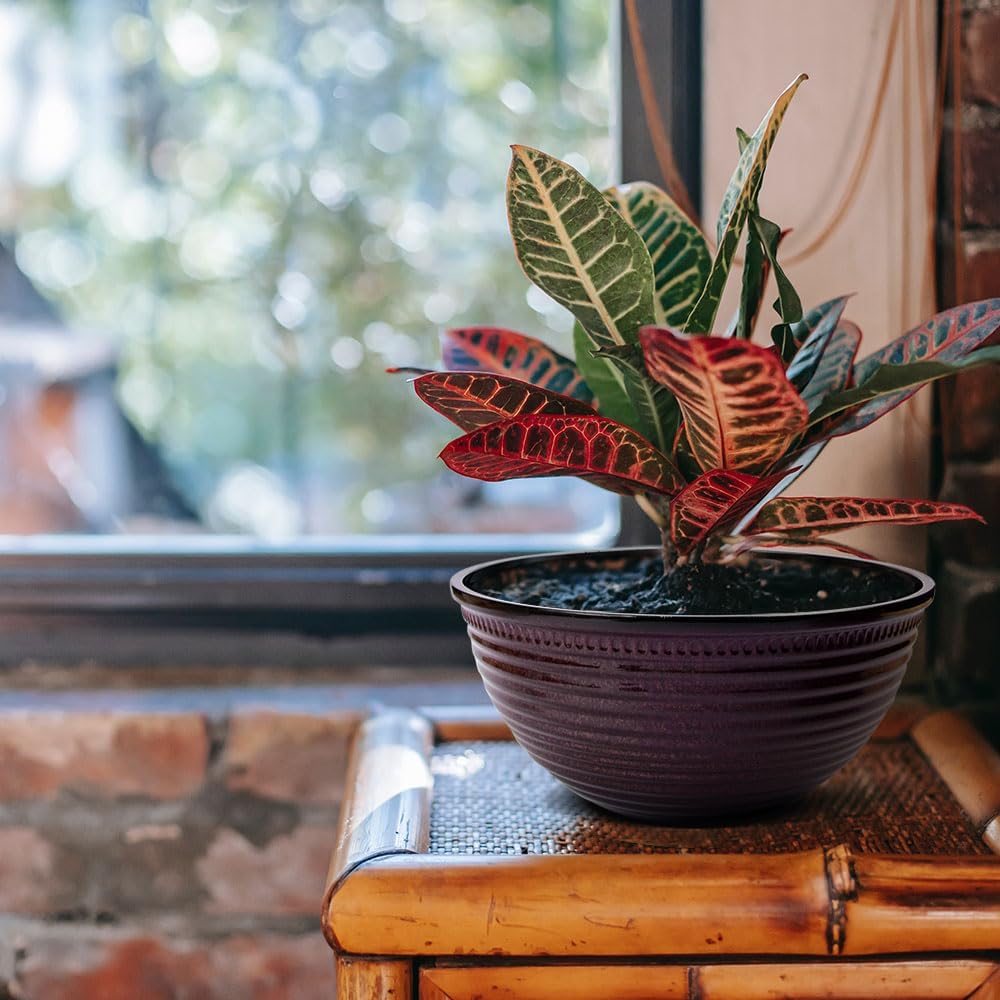 2 Pack 10 Inch Plant Pots,Durable Decorative Flower Pots Planters with Drainage Hole for Indoor and Outdoor Plants,Flowers,Succulents, Purple