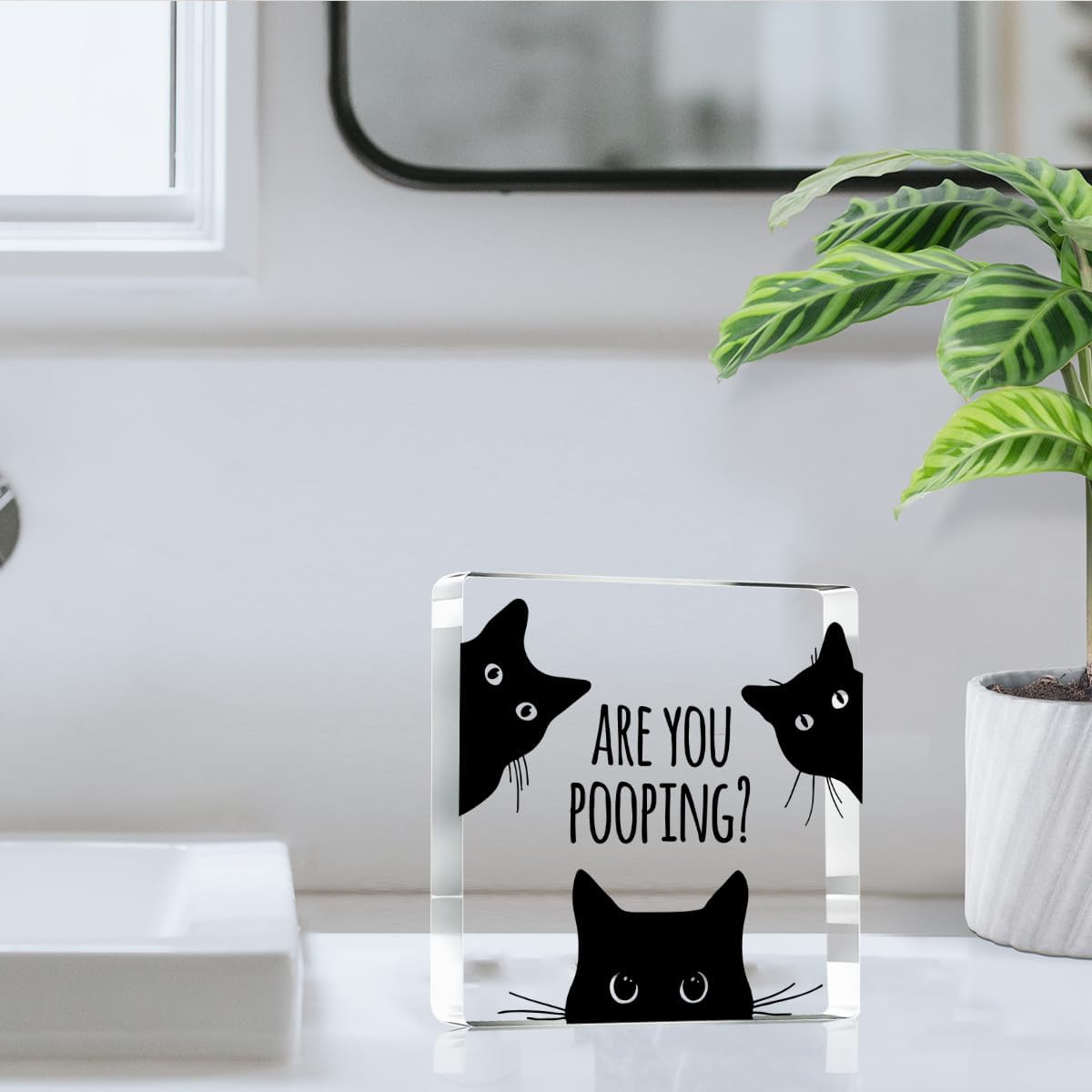 Are You Pooping Funny Sign,Black Cat Decor, Cat Bathroom Acrylic Decor,Home Decor Bathroom Creative Gift For Women Men,Funny Decorate Retro for Home Toilet 4x4 Inches