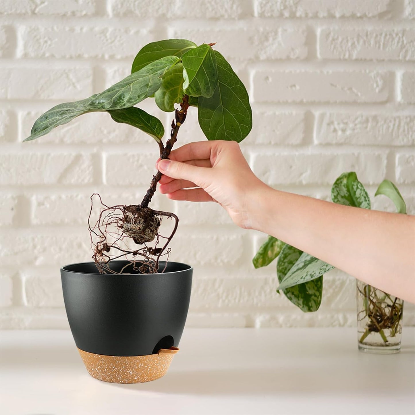 Self Watering Plants Pot with Drainage Hole, Flower Plants Pots for Indoor & Outdoor, Black Plastic Self Watering Planters Succulent Pot 5pcs/Set