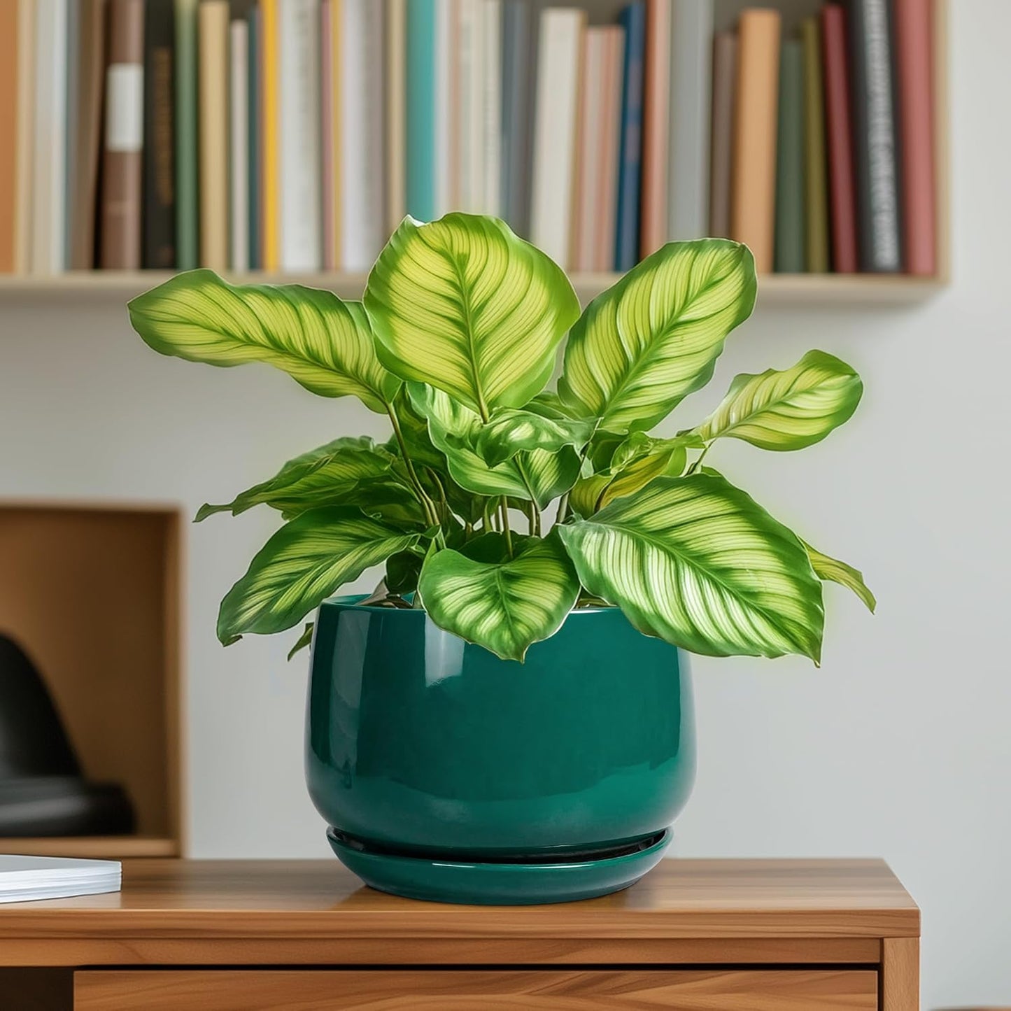 G EPGardening 6 Inch Plant Pot - Ceramic Planter for Indoor Plants, Round Planter with Drainage and Ceramic Tray, Flower Pots for Outdoor, Modern House Decor, Gift for Men Women, Green