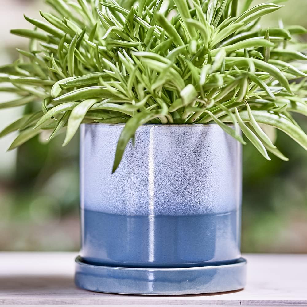CHIVE ‘Minute’ Ceramic Planter Pot — Cute 5” Colorful Succulent Pots for Indoor & Outdoor House Plants — Beautiful Modern Farmhouse Kitchen Decor — Blue Aqua