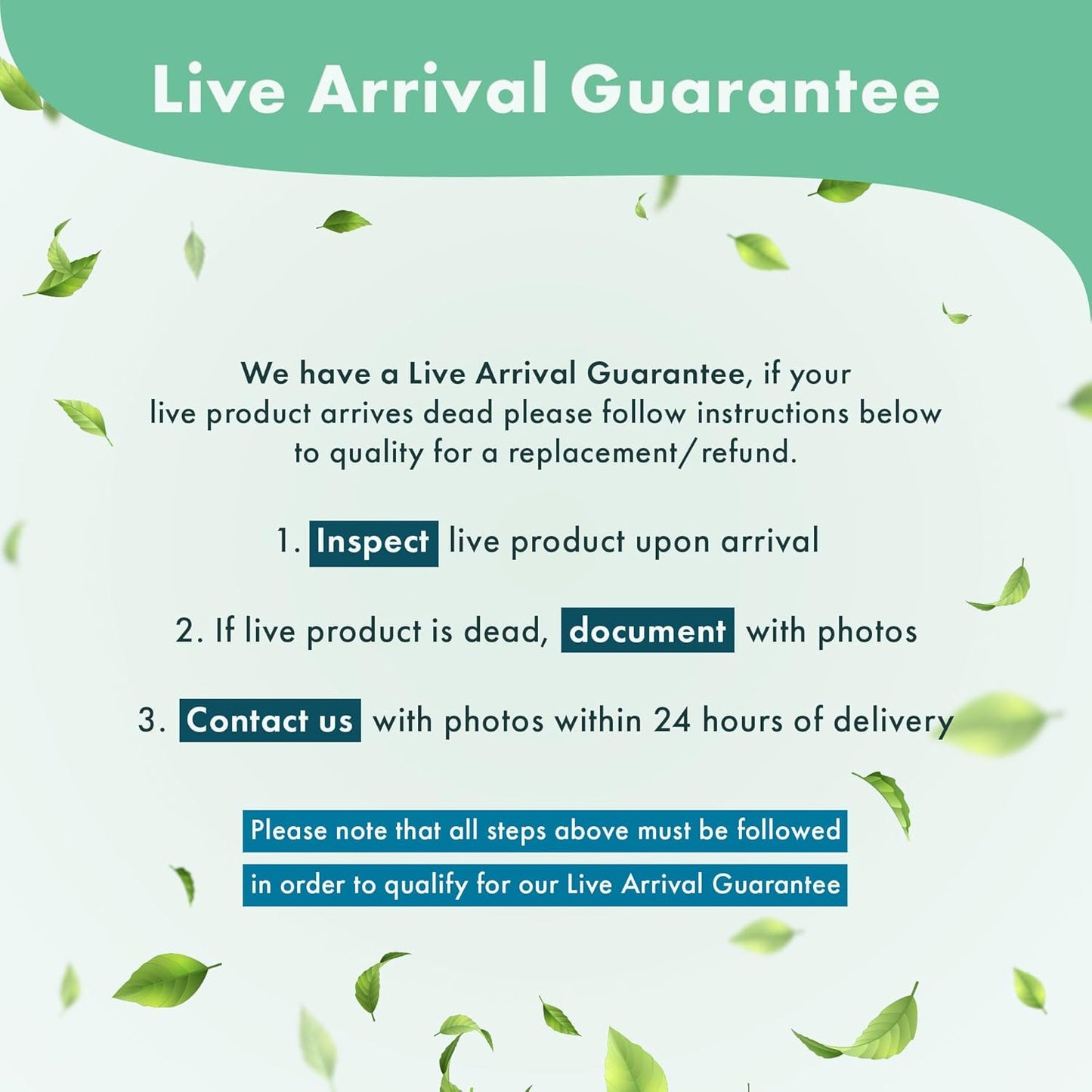 Anubias Live Aquarium Plants - Potted Freshwater Plant for Fish Tanks, Terrariums - Beginner Friendly Low Light (Nana Petite, 1 Pot)