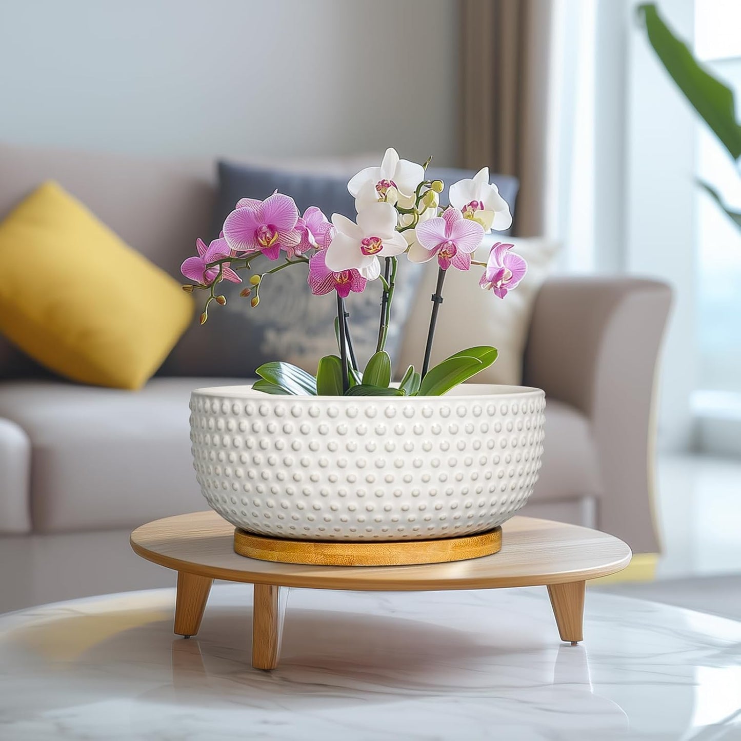 Succulent Pots 8 Inch - Ceramic Bonsai Planters for Indoor Plants, Plant Pot with Drainage Hole and Saucer, Shallow Round Flower Planter, Modern Room Decor, Gifts for Plant Lover, White