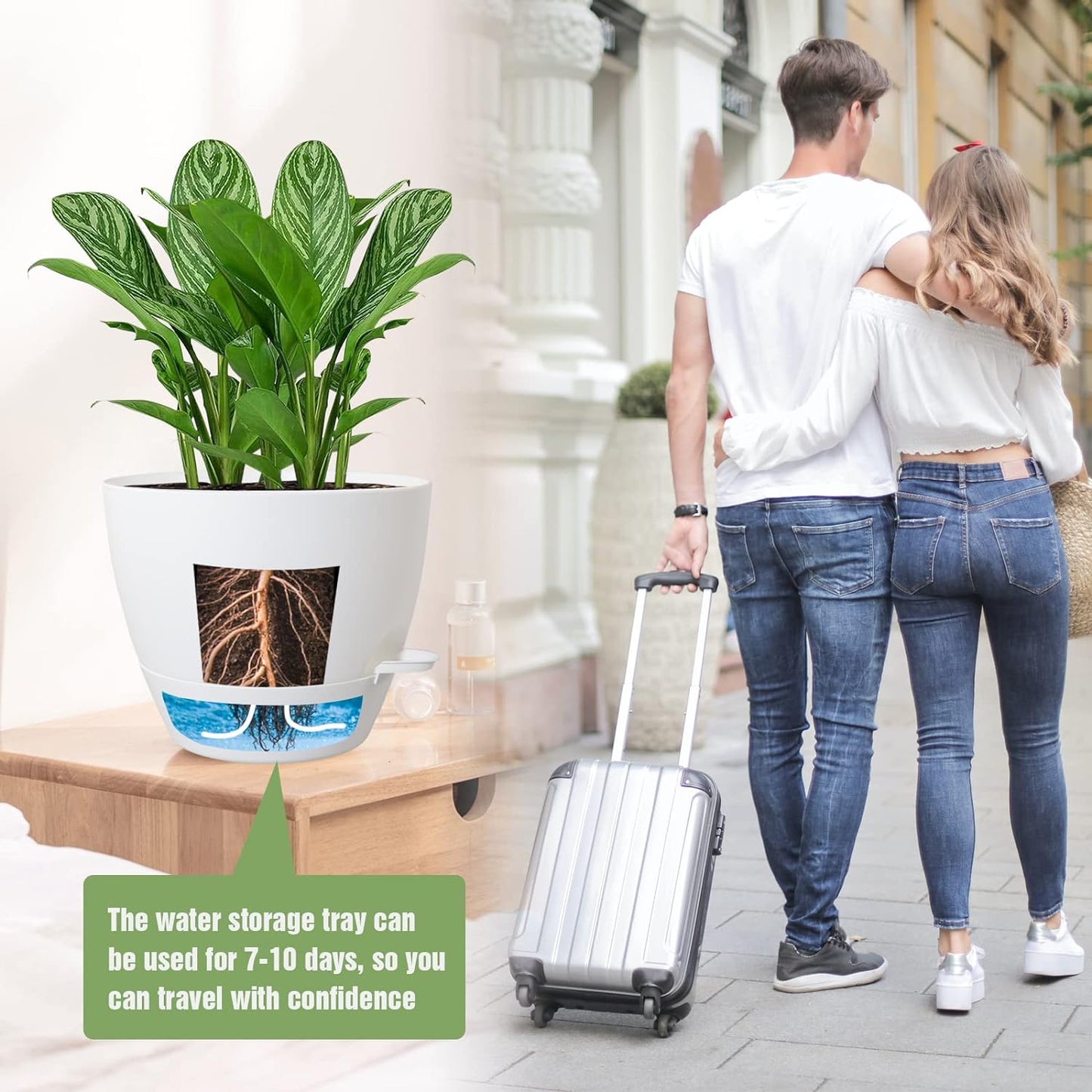 Large Self Watering Pots, 12/10/9 Plastic Planters with High Drainage Holes and Deep Reservoir for Indoor Outdoor Garden Plants and Flowers, White