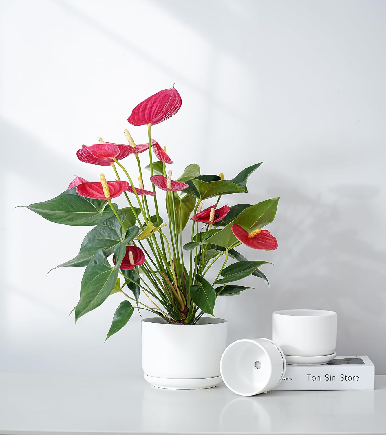 Ton Sin Plant Pots, 4.1+5.1+6.5 inch, Set of 3, Ceramic Planters with Drainage Hole and Saucer, Indoor Flower Pot with Hole Mesh Pad, Gifts for Mom(Matte White)