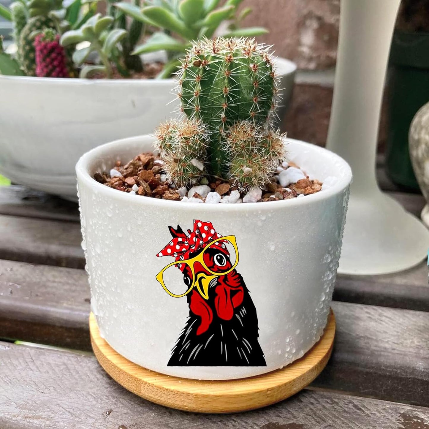 Window Garden Rooster Planter Pots,Rooster Gifts for Women/Men/Housewarming/Wedding/Festival Birthday Gifts Planter Pots,Outdoors/Indoors,Window Decor,Garden Decor,Yard Decor,Home Decor,Office