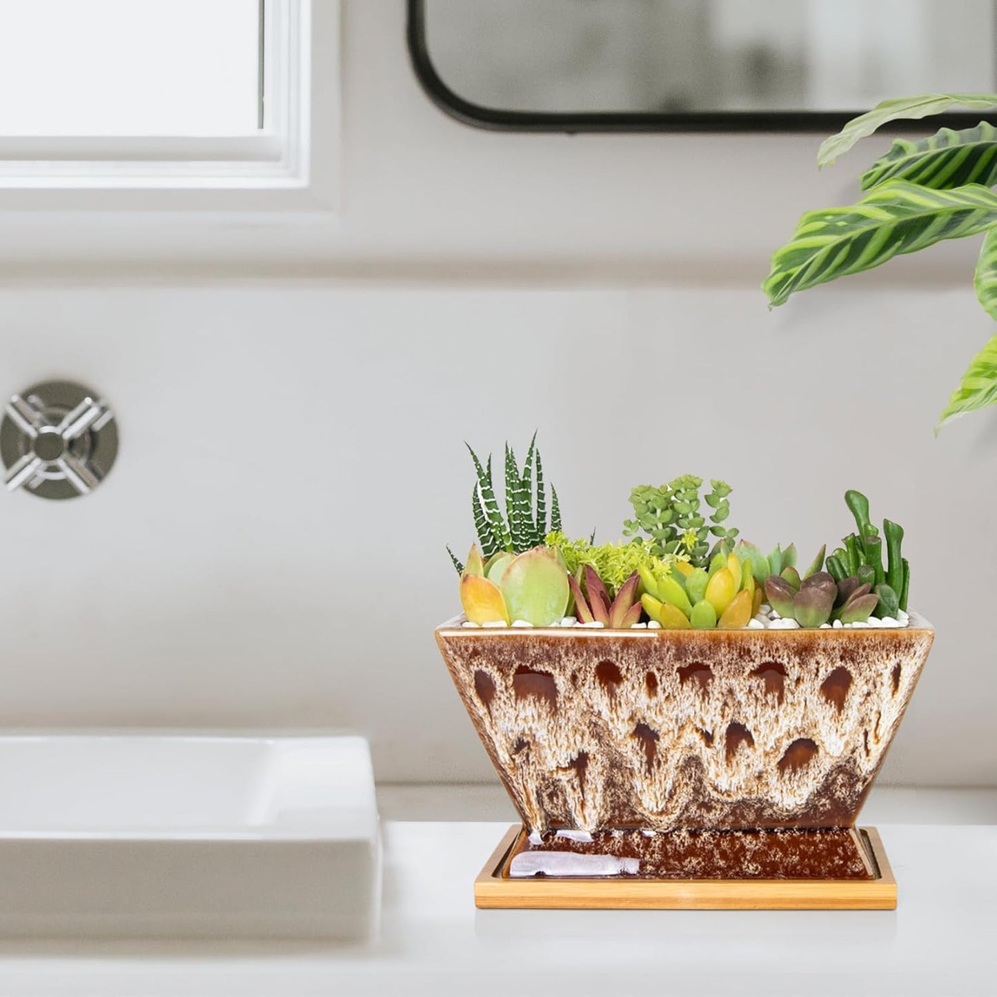 ARTKETTY Succulent Pots - 7 Inch Large Plant Pot with Drainage Tray, Shallow Ceramic Pots for Indoor Plants, Modern Cactus Bonsai Plant Container Decorative Home Office