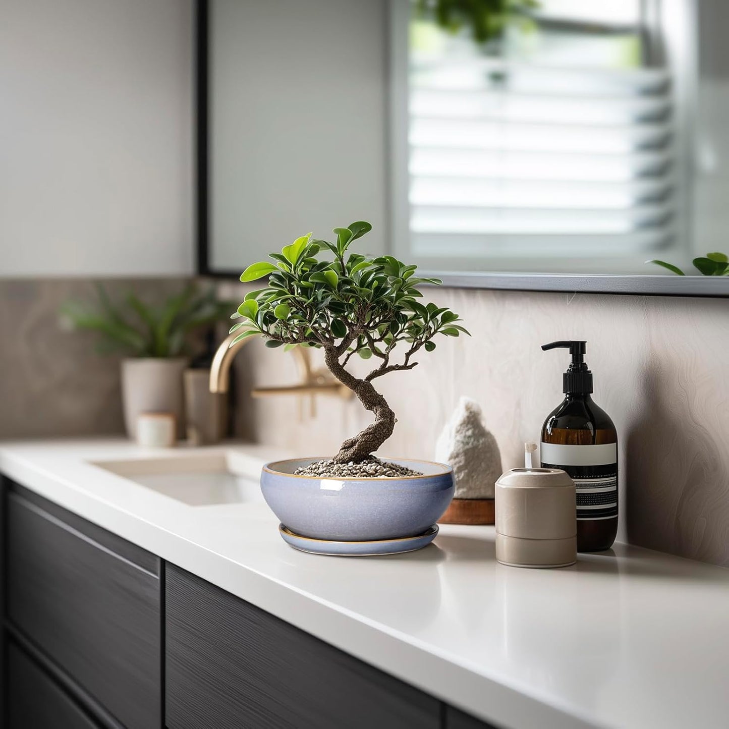 SQOWL Bonsai Tree Pots Small - 6 Inch Ceramic Succulent Planters with Drainage Hole and Saucer, Shallow Pot for Indoor Outdoor, Round Cactus Planters, Living Room Decor, Gifts for Plant Lover, Blue