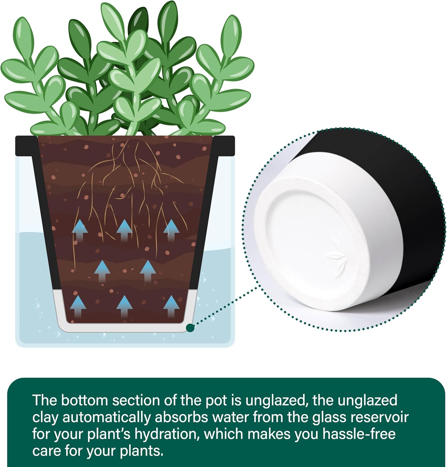 D'vine Dev 4 Inch Design Self Watering Planter for Indoor Plants, Black Terracotta Pot with Cylinder Glass Cup, Set of 4, 37-Z-A-3-F