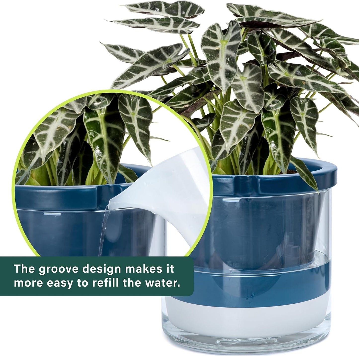 D'vine Dev 10 Inch Design Self Watering Planter for Indoor Plants, Blue Terracotta Pot with Cylinder Glass Cup, 37-X-D-4