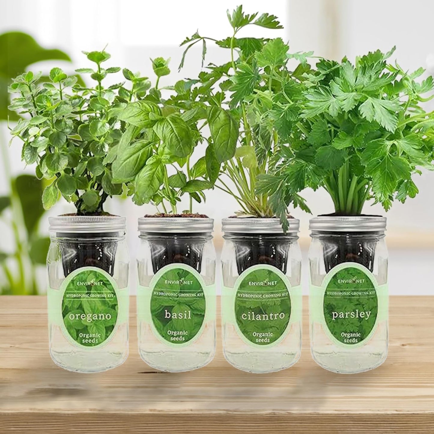 Hydroponic Herb Growing Kit Set, Self-Watering Mason Jar Herb Garden Starter Kit Indoor, Grow 4 Kinds of Herbs from Seeds (Cilantro,Basil,Parsley&Oregano)