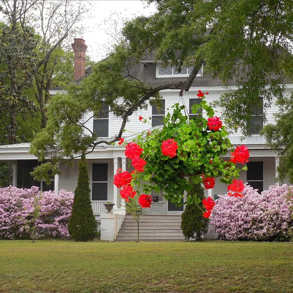 4PCS Coco Liner for Hanging Basket 8 Inch Round 100% Natural Planter Liner Replacement Plant Basket Liners Coco Fiber Liner for Garden Planters Coconut Coir Liner Flower Pot for Hanging Basket