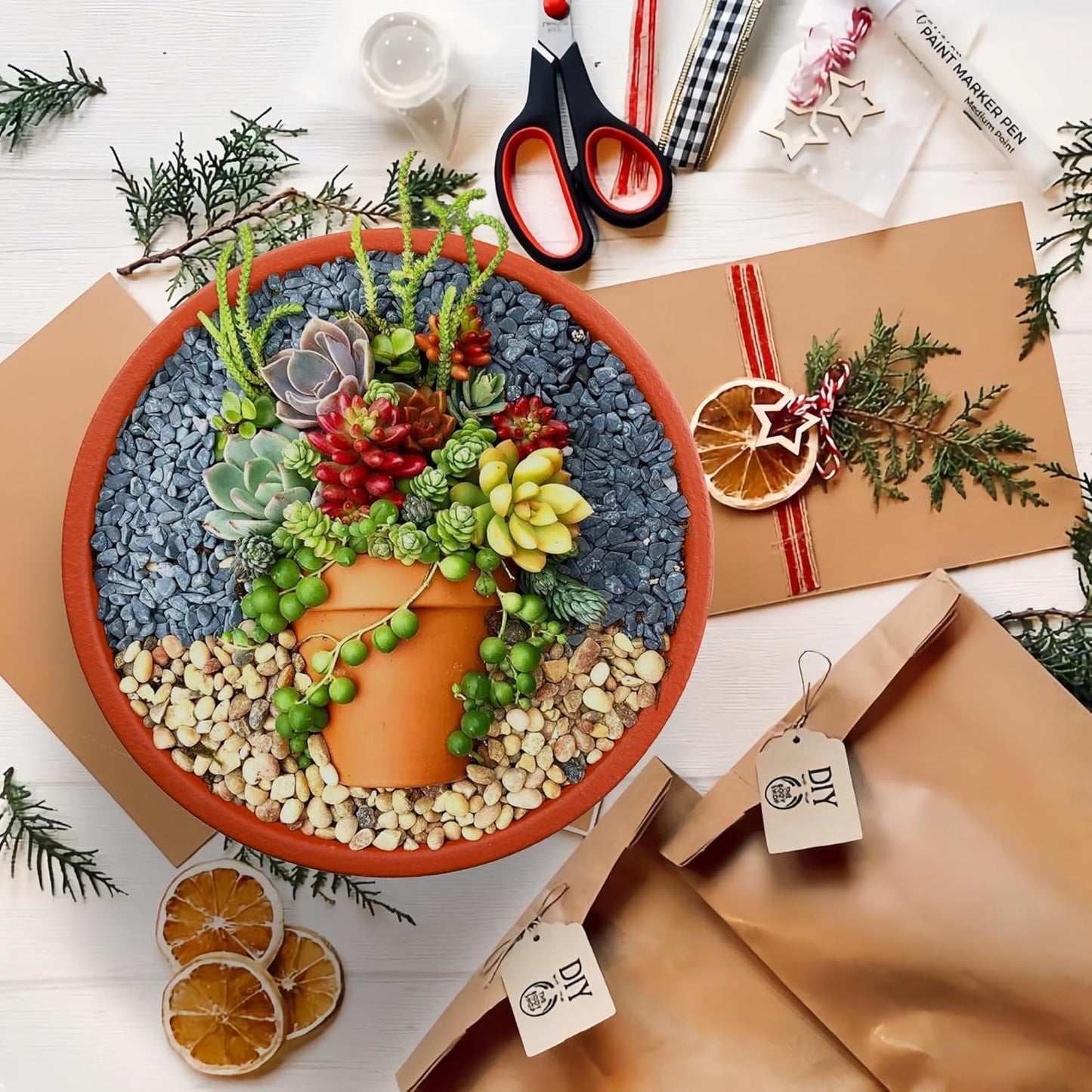 SQOWL 10 Inch Large Terracotta Planter Pot,Clay Succulent Bonsai Planter with Drainage Hole and Bamboo Saucer for Indoor Plants