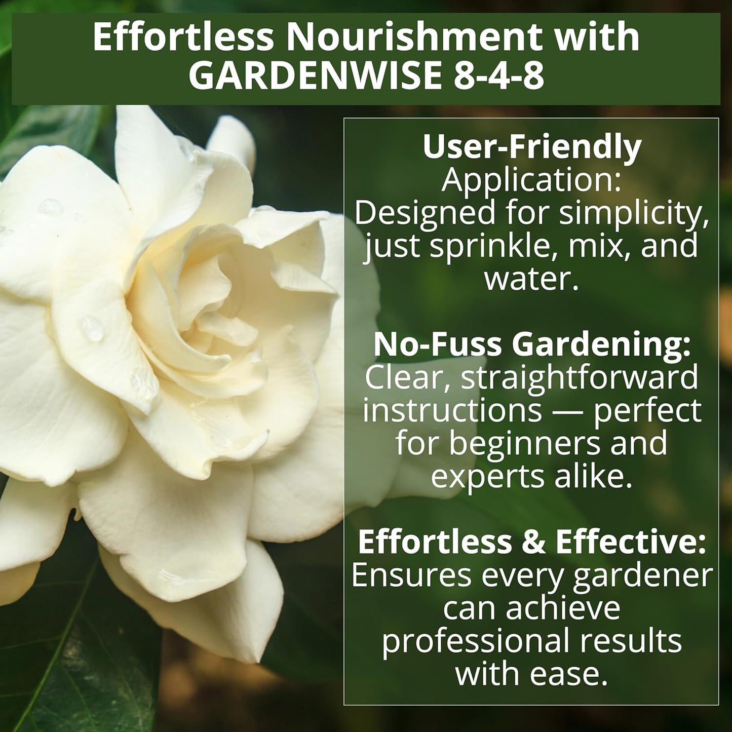 8-4-8 Acidic Fertilizer for Azaleas, Camellias (Camelia), Hydrangeas, Blueberries, Gardenias, Magnolia Trees, Evergreens, and Rhododendrons - Ideal Iron-Rich Plant Food (2 QUARTS)