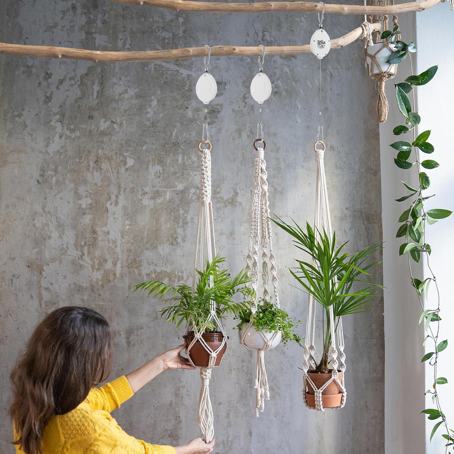 Plant Pulleys for Hanging Plants, Heavy Duty Retractable Hangers, 304 Stainless Steel Rope, Auto Plant Holder, Adjustable Climbing Hook for Garden Baskets Watering, or Bird Feeders 2PC (White)