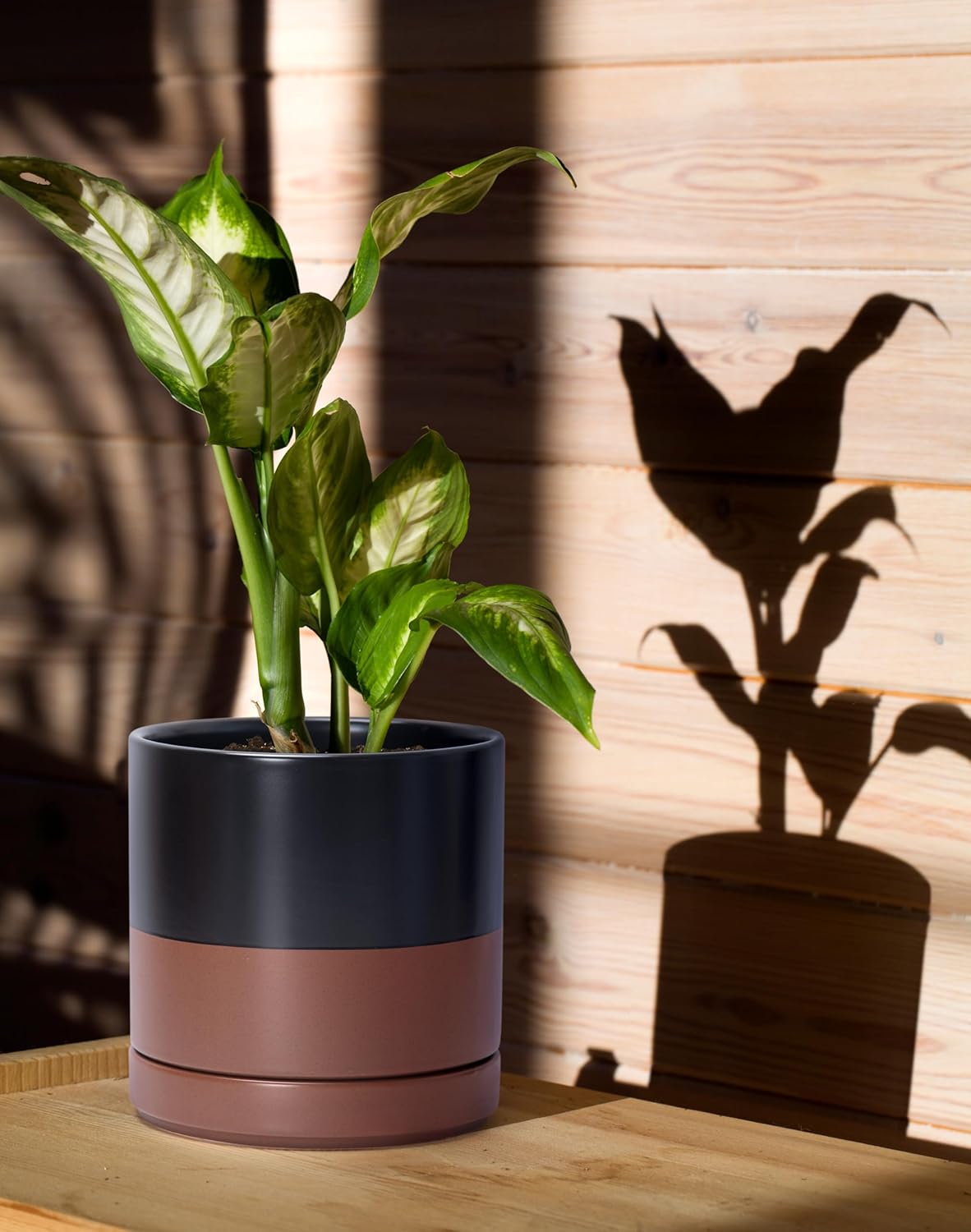 D'vine Dev 3 Inch & 4 Inch & 6 Inch, Set of 3 Round Ceramic Planter Pot with Drainage Hole and Saucer, Black/Speckled Tan, 94-T-S-7