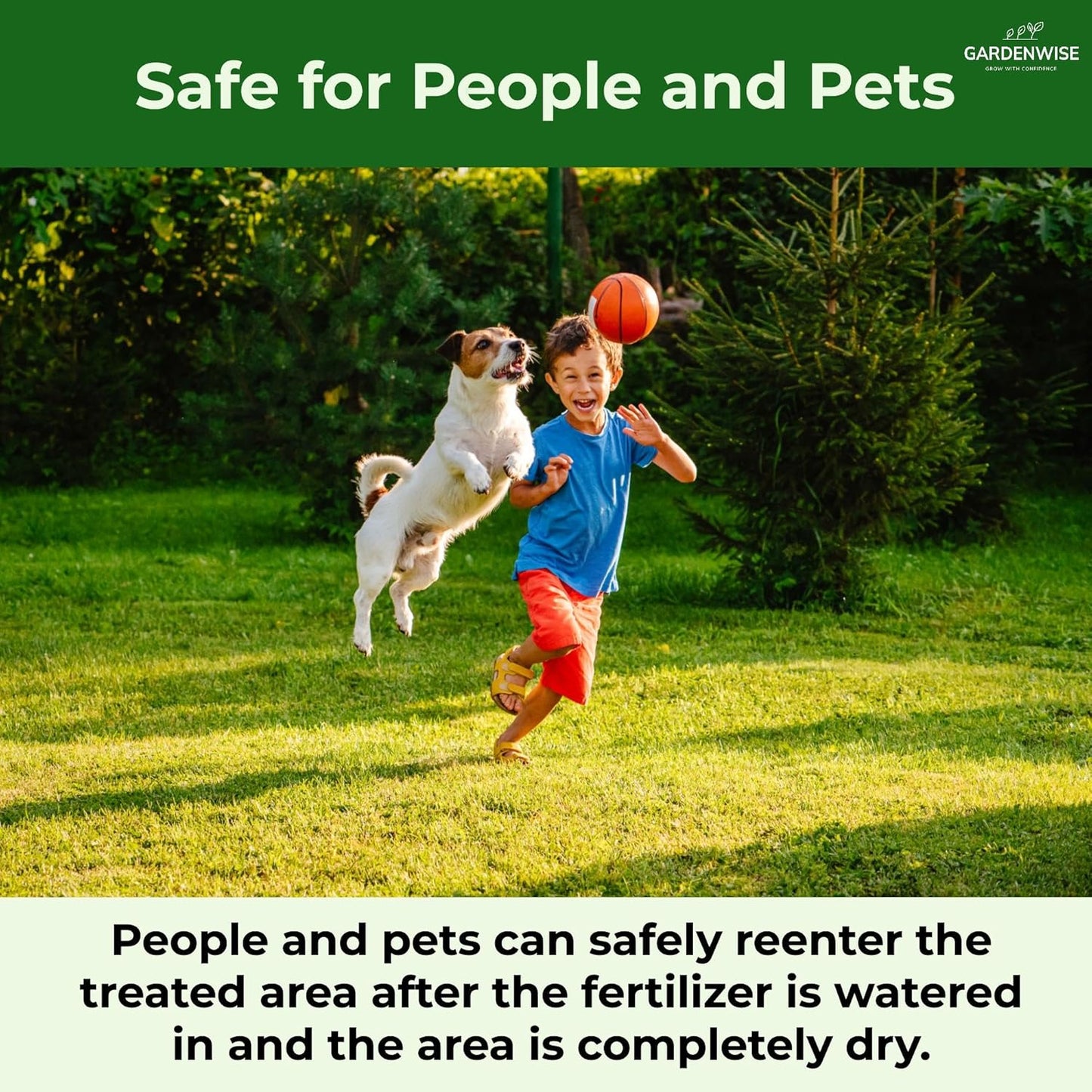 13-13-13 Slow Release Granular Fertilizer β All Purpose Plant Food 13 13 13 for Outdoor Grass, Vegetables, Roses, Flowers, Shrubs, Trees. Lawns, Gardens, Potted Plants (1/2 Quart)