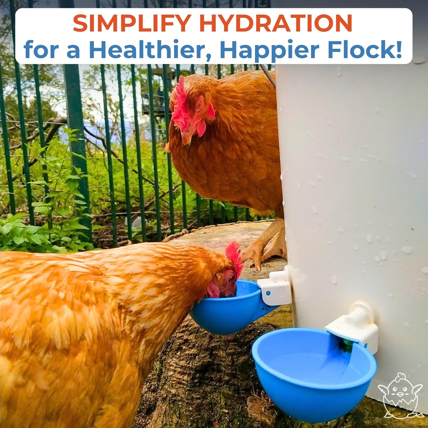 Lil Clucker - Blue Large Automatic Chicken Waterer Cups Suitable for Ducks, Geese, Turkeys, and Bunny Rabbit - Water Feeder Kit - Poultry Waterer - Pack of 12