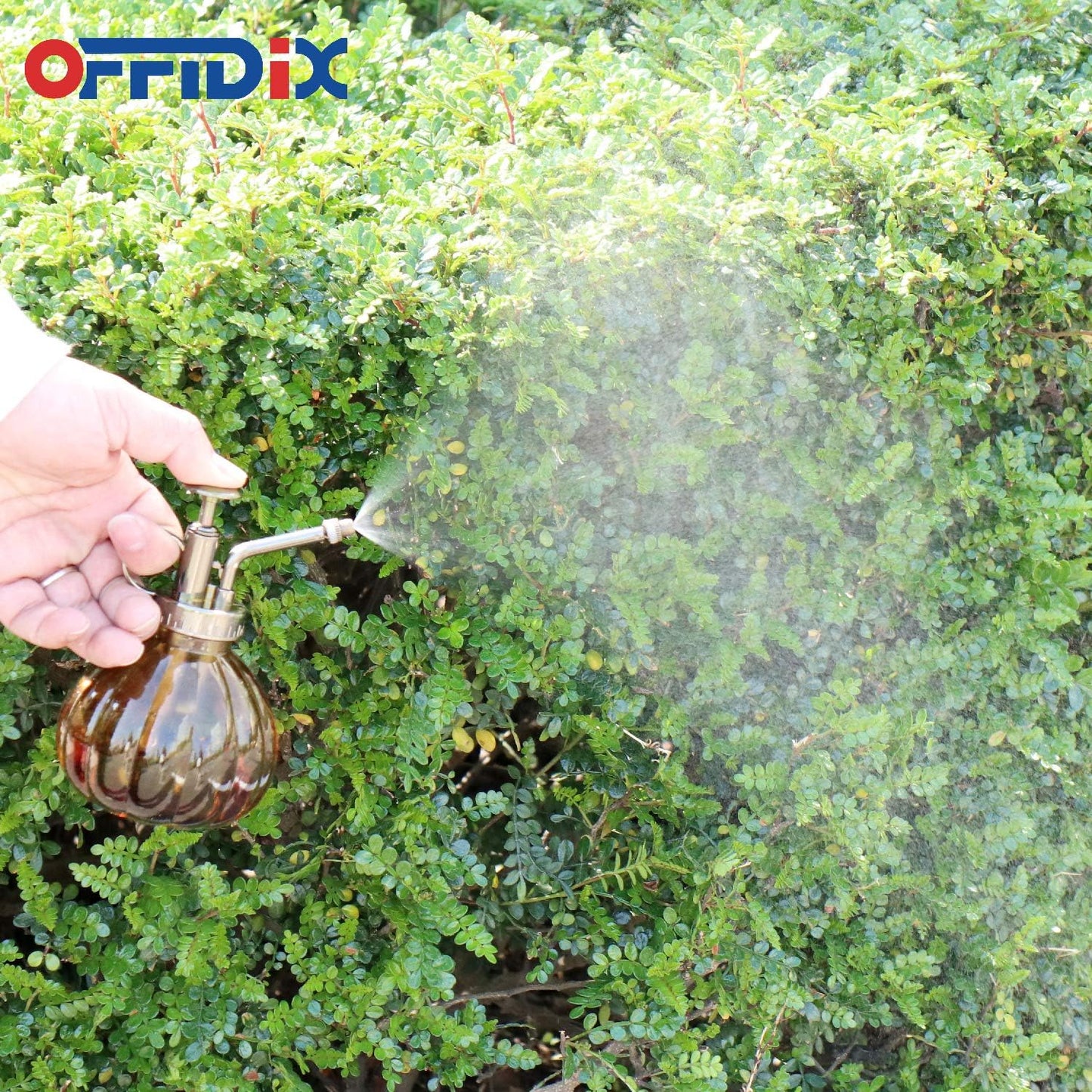 OFFIDIX Glass Watering Spray Bottle,Plant Mister Flower Water Spray Bottle Can Pot 6.3" Tall Vintage Pumpkin Style Spritzer Bronze Plastic Top Pump One Hand Glass Watering Can Indoor(Brown)