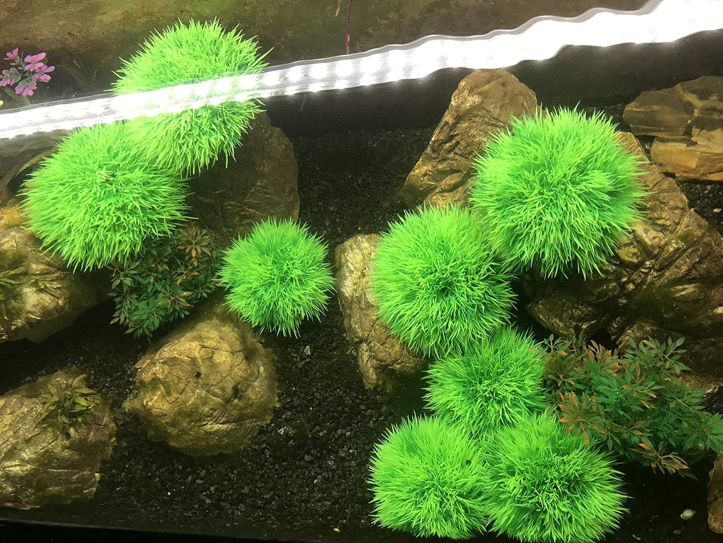 BEGONDIS 4Pcs Aquarium Decorations Fish Tank Artificial Green Water Plants Made of Soft Plastic