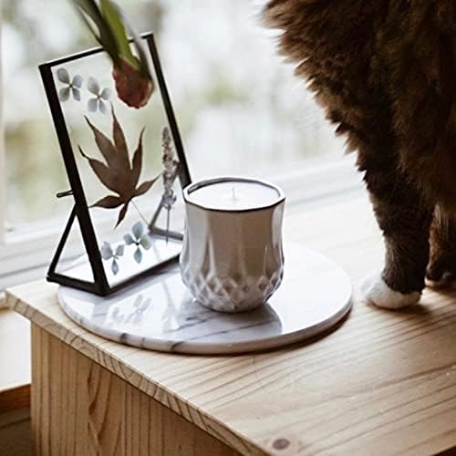 The Growing Candle, Coffee Scented, 9oz Ceramic Pot, Aromatherapy Candles, 100% Soy, Cream and Espresso Aroma for Home, Astrid