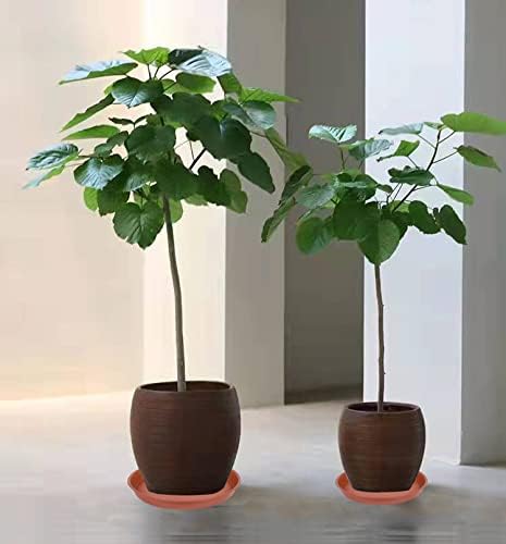 2 Pack of 16 17 inch Plant Saucer Tray (15 inch Base), 2.3" Depth, Heavy Duty Plastic Saucer 16" Round, Plant Tray for Pots, Flower Plant Saucers for Indoors (17 inch, Terracotta)