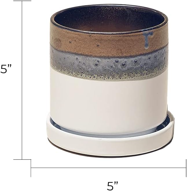 CHIVE ‘Minute’ Ceramic Planter Pot — Cute 5” Colorful Succulent Pots for Indoor & Outdoor House Plants — Beautiful Modern Farmhouse Kitchen Decor — Bronze and White