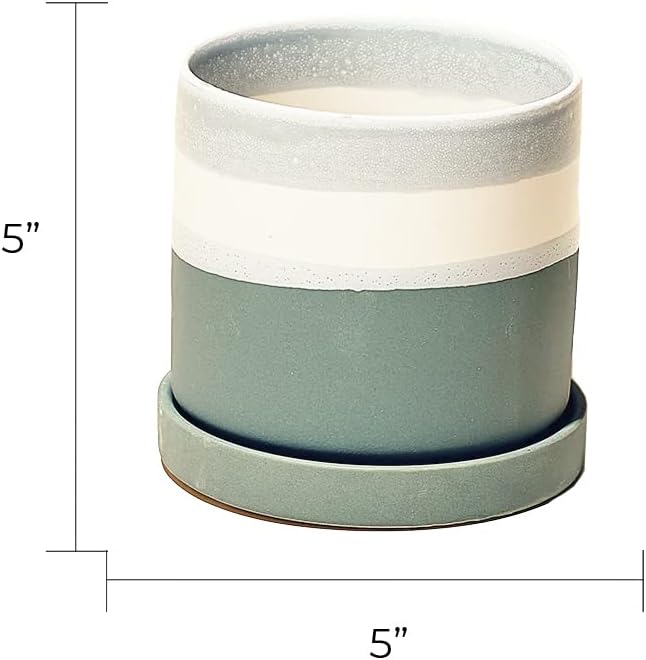 CHIVE ‘Minute’ Ceramic Planter Pot — Cute 5” Colorful Succulent Pots for Indoor & Outdoor House Plants — Beautiful Modern Farmhouse Kitchen Decor — Matte Green