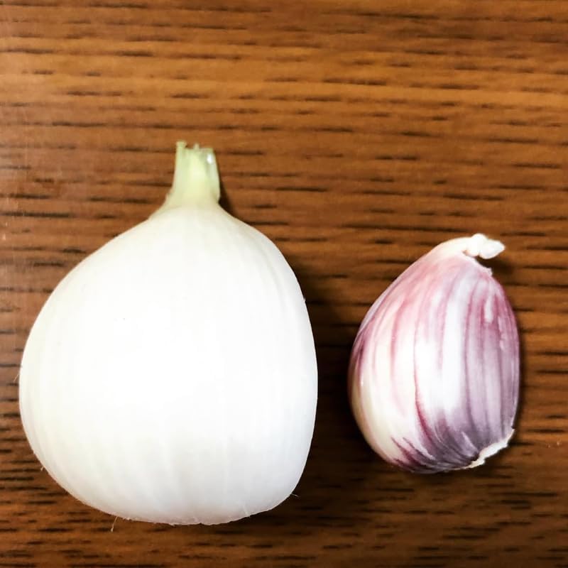 1 Pound Garlic for Planting in Fall Hardneck, 8 Music Garlic Bulbs for Planting, Fresh and High Yield Bulb Variety Pack, Hardy and Fast Growing