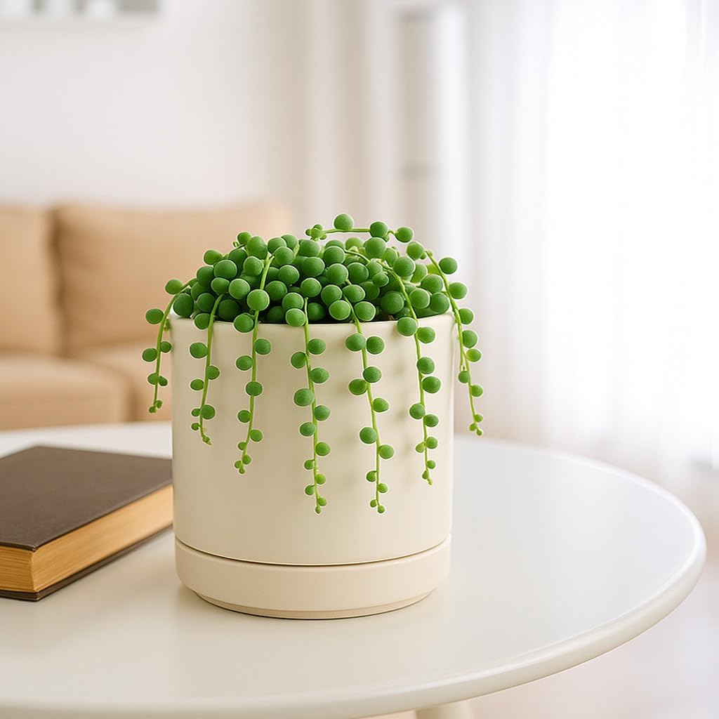 D'vine Dev Set of 4 Small Ceramic Plant Pots, 4.6 Inch Succulent Planter Pot for Plants with Drainage Hole and Saucer, Oatmeal, 94-X-B-8