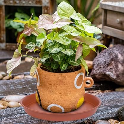 2 Pack of 12 inch Plant Saucer, Bird Bath Bowl 12 inch, Plant Tray for Pots, Flower Plant Saucers for Indoors, Plant Trays for Planter 11"/12" (12 inch, Terracotta)
