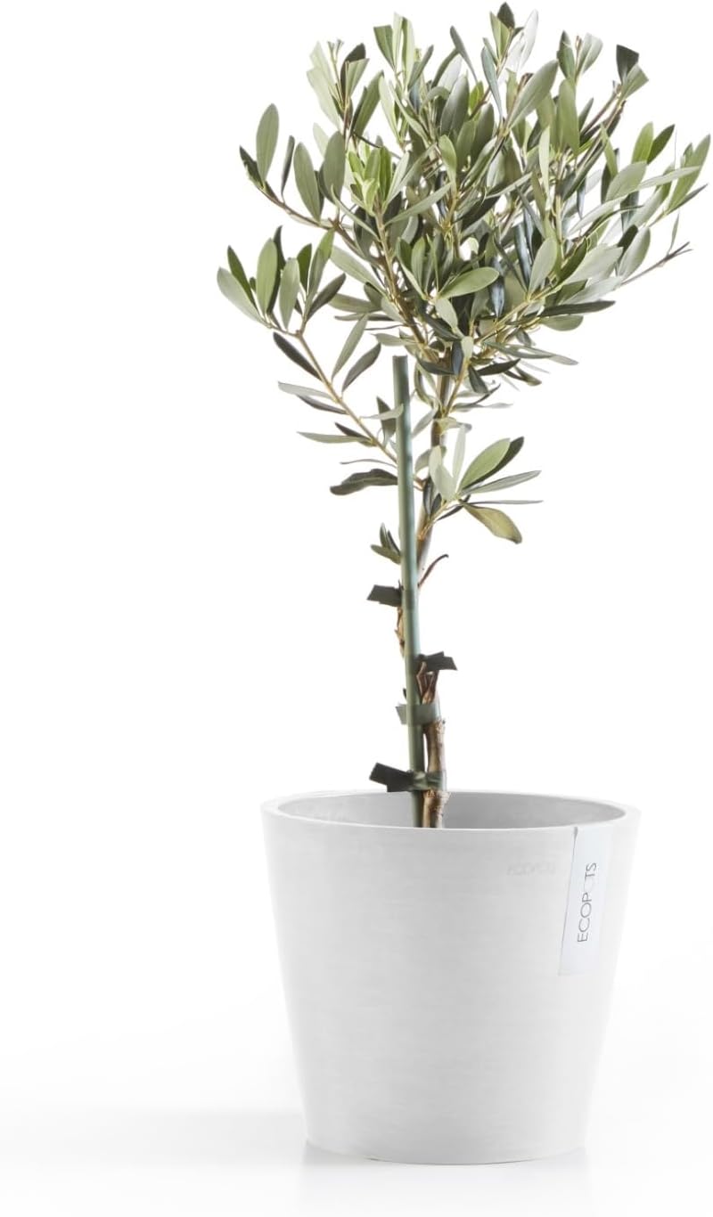 Ecopots Amsterdam Durable Modern Round Indoor/Outdoor Recycled-Based Composite Flower Pot Planter, Pure White, 8"