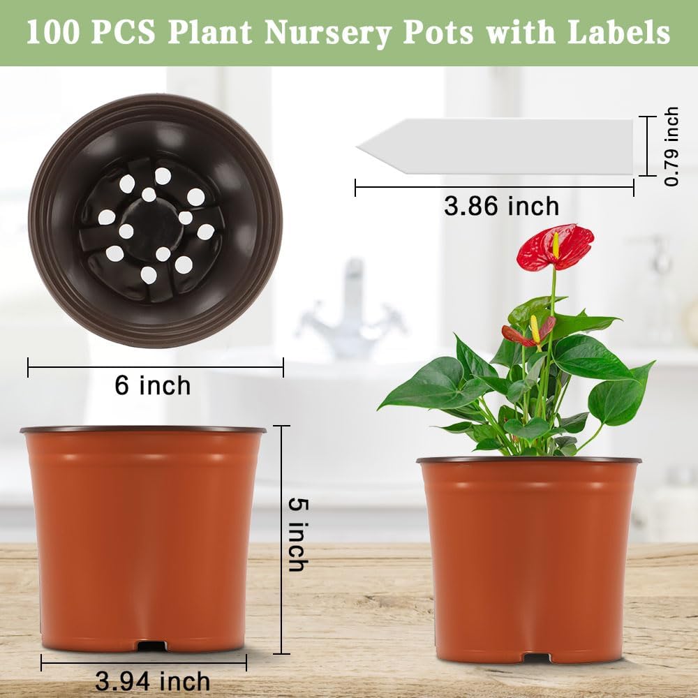 100 Pcs Plant Nursery Pots, 6 Inch Large Plant Seedling Pots with Labels Plastic Plant Flower Pots with Drainage Holes Indoor Outdoor for Succulent Cutting Transplanting