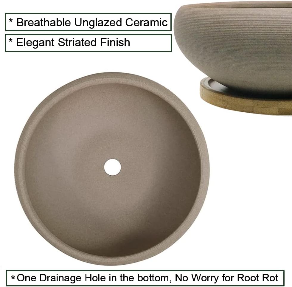 MUZHI Round Unglazed Ceramic Bonsai Pot with Bamboo Tray, Large Rough Pottery Succulent Planter with Drainage Hole 8 inch …