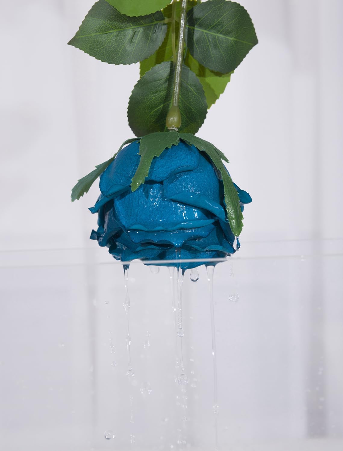 DuHouse 5Pcs Silk Roses Fake White Roses with Stems Real Touch Rose Artificial Flowers for Arrangement Wedding Party Home Decoration(Peacock Blue)