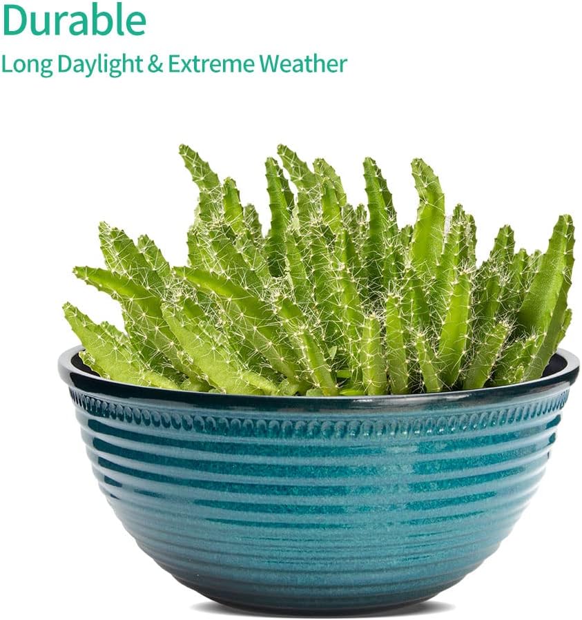 2 Pack 10 Inch Plant Pots,Durable Decorative Flower Pots Planters with Drainage Hole for Indoor and Outdoor Plants,Flowers,Succulents, Blue