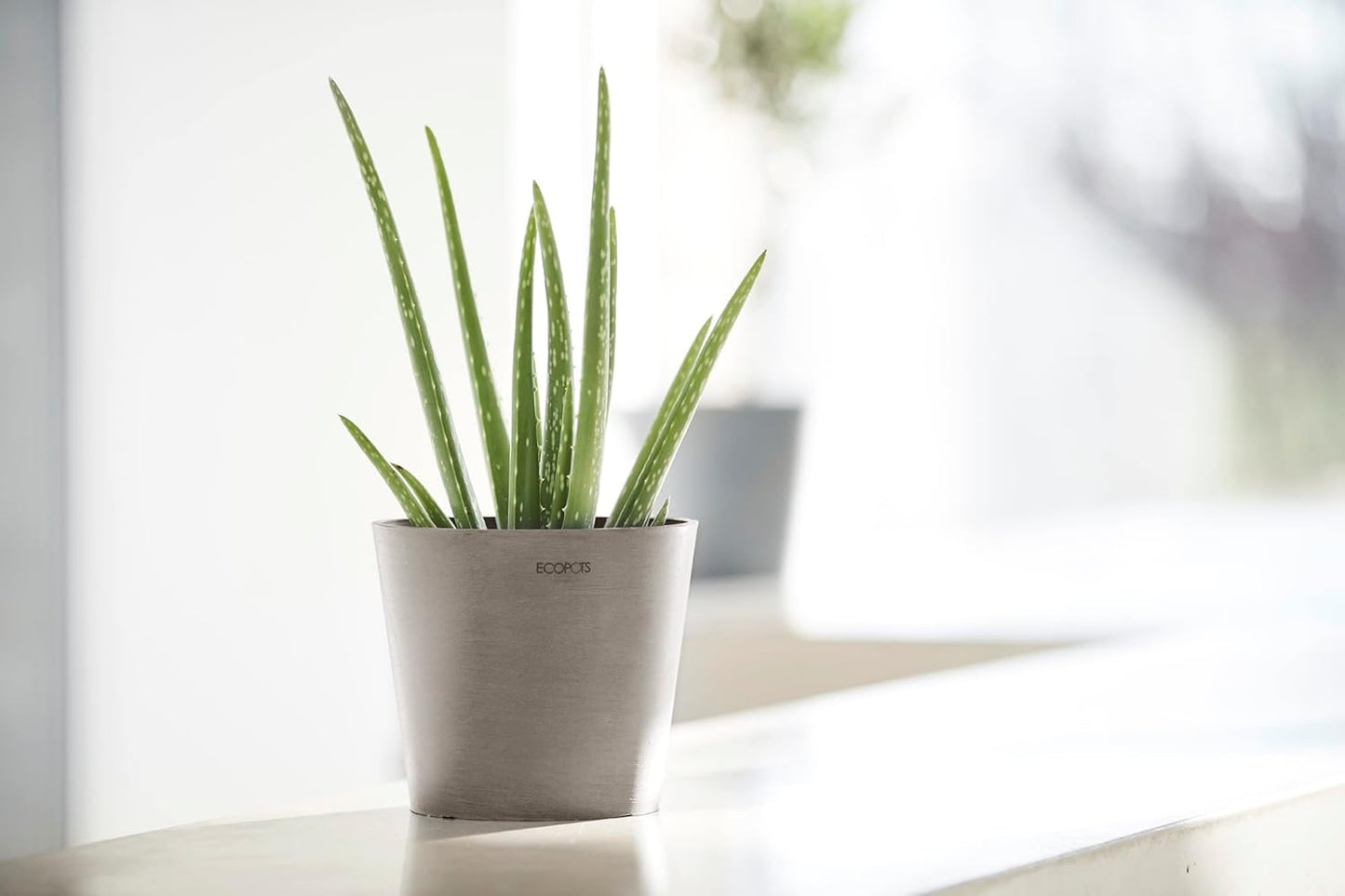 Ecopots Amsterdam Mini Durable Modern Round Recycled-Based Composite Flower Pot Planter, Taupe, 4"