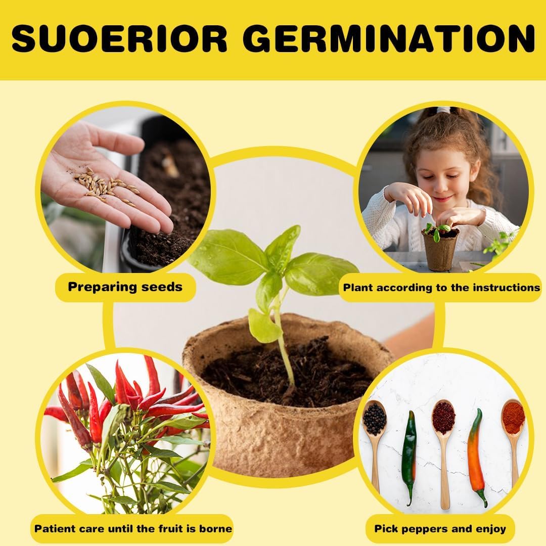 10 Pepper Seeds Window Garden Kit - Hot & Sweet Peppers Seeds for Indoor & Outdoor Planting, Gardening Gift for Kids, Moms, Women, Beginners, Complete Starter Kit Vegetable Garden Starter