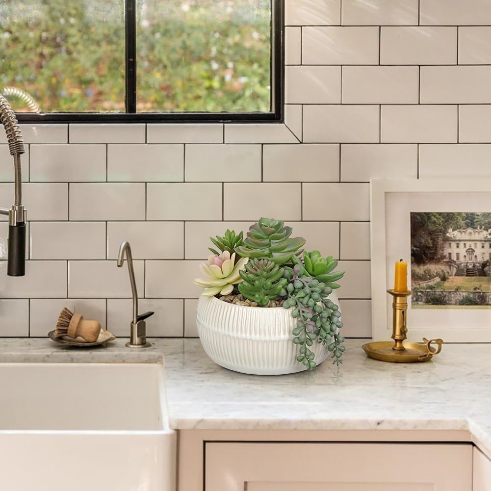 DILATATA Artificial Succulent Plants in Pot 5.5 Inch Fake Succulents Arrangement Potted Plant in White Ceramic Planter Bowl for Home Office Desk Shelf Living Room Bedroom Bathroom Decor