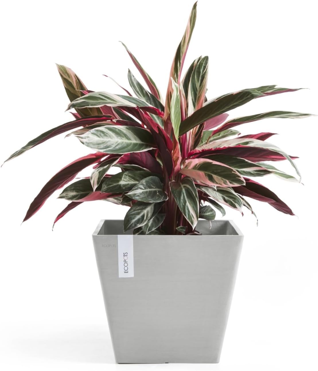 Ecopots Rotterdam Durable Modern Square Indoor/Outdoor Recycled-Based Composite Flower Planter, White Grey, 12"