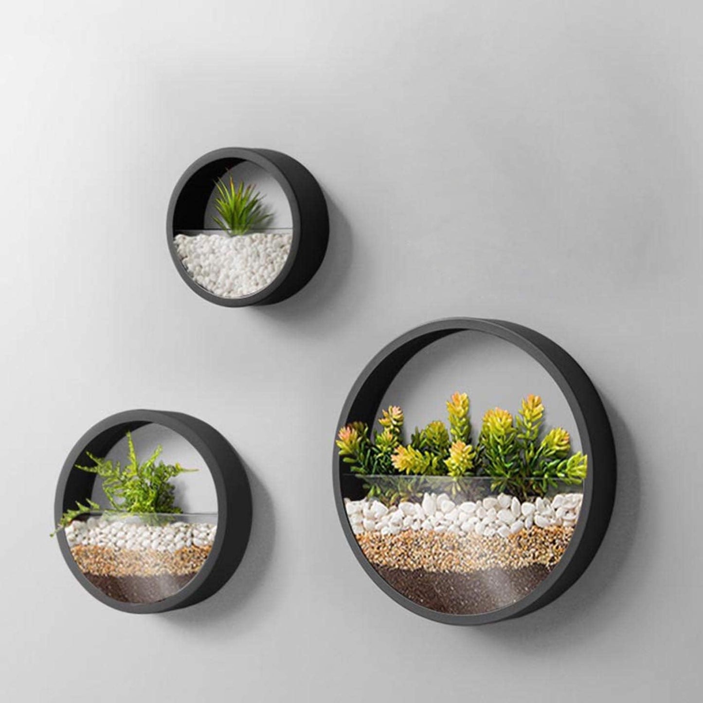 3 Pack Set Wall Planters,Modern Round Glass Wall Planter Succulent Planter Circle Iron Hanging Planter Vase for Herb,Small Cactus Perfect for Balcony, Room and Patio Decor (Black)