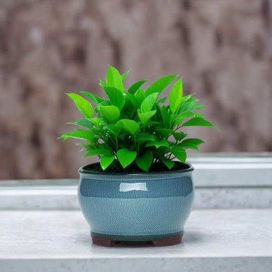 Ceramic Planter Pots with Drainage Hole, Small Flower Pot for Succulents, Orchid, Bonsai Plants, Indoor Outdoor Garden Windowsill Shelf Decor (Light Blue)