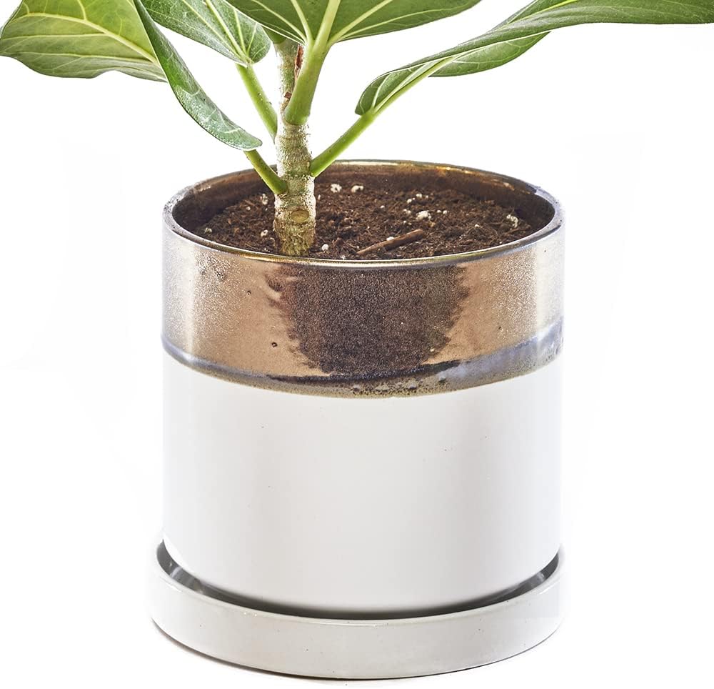 CHIVE ‘Minute’ Ceramic Planter Pot — Cute 5” Colorful Succulent Pots for Indoor & Outdoor House Plants — Beautiful Modern Farmhouse Kitchen Decor — Bronze and White