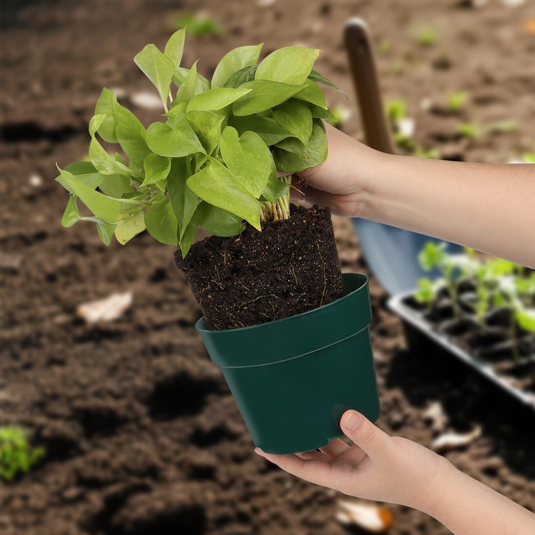 15 Pack 4/6/8 Inch Plant Nursery Pots, Thickened Plastic Pots for Plants with Drainage Holes, Sturdy Seedling Pots, Seed Starting Pot, Flower Pots for Indoor Outdoor Plants, Green