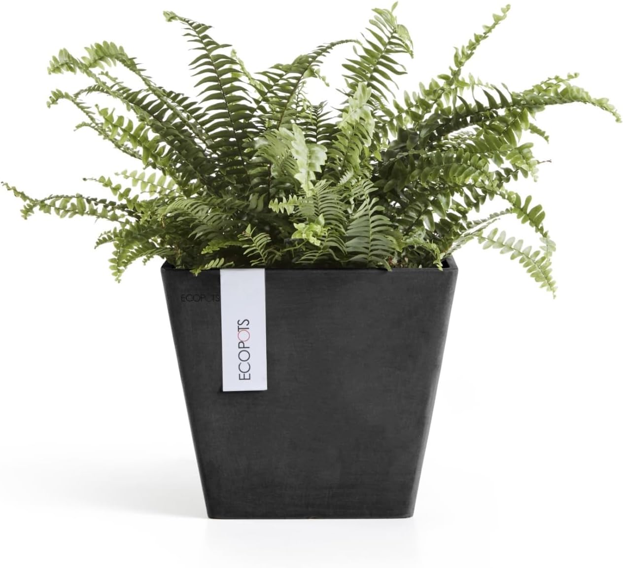 Ecopots Rotterdam Durable Modern Square Indoor/Outdoor Recycled-Based Composite Flower Planter, Dark Grey, 8"
