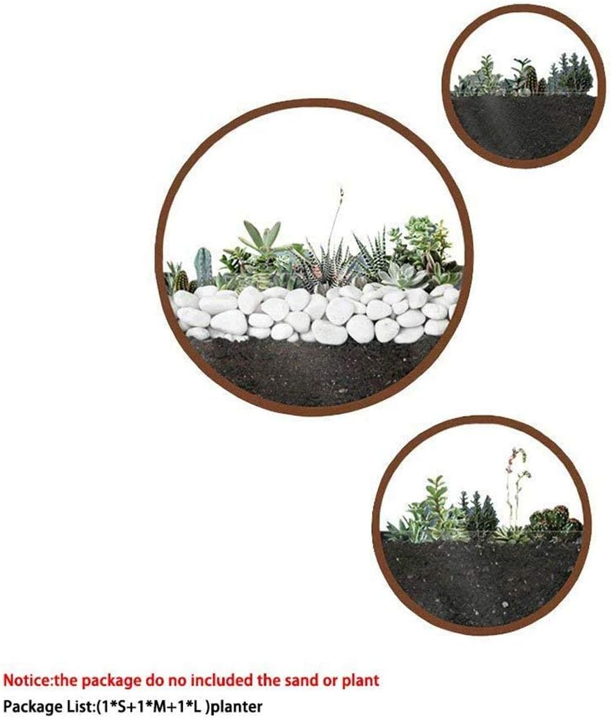 3 Pack Set Wall Planters,Modern Round Glass Wall Planter Succulent Planter Circle Iron Hanging Planter Vase for Herb,Small Cactus Perfect for Balcony, Room and Patio Decor (Coffee)