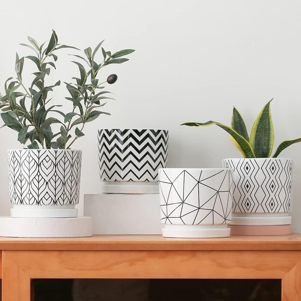 Ton Sin Plant Pots,5.5 Inch White Pots for Indoor Plants with Drainage Holes,Cylinder Flower Pot Ceramic Planters with Saucer,Cactus Succulent Outdoor Garden Pots Set of 4