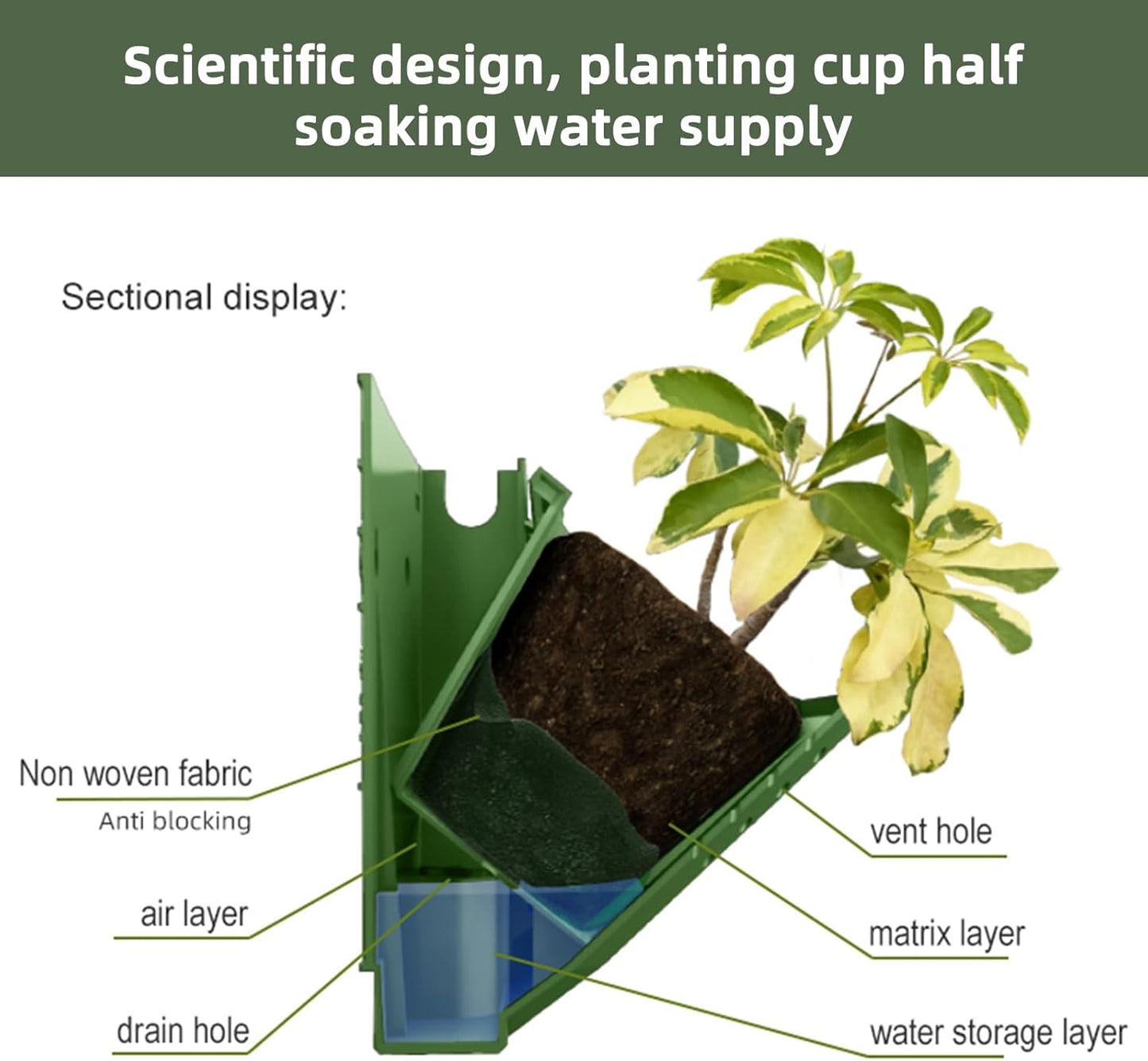 Self Watering Wall Planter with 36 Pots, Vertical Garden Planter for Indoor Plants, Wall Mounted planters Hanging Flower Herbs Vegetables for Garden